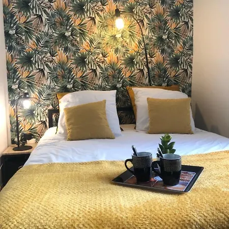 Beau Studio Proche Centre 1 *